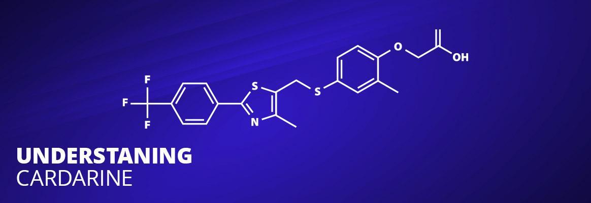 Understanding Cardarine, What Are The Benefits?