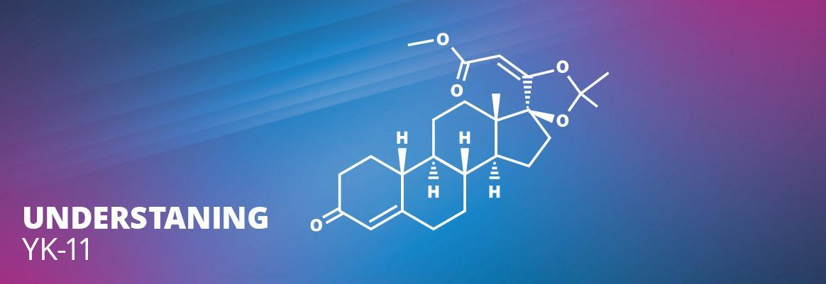 Understanding YK-11